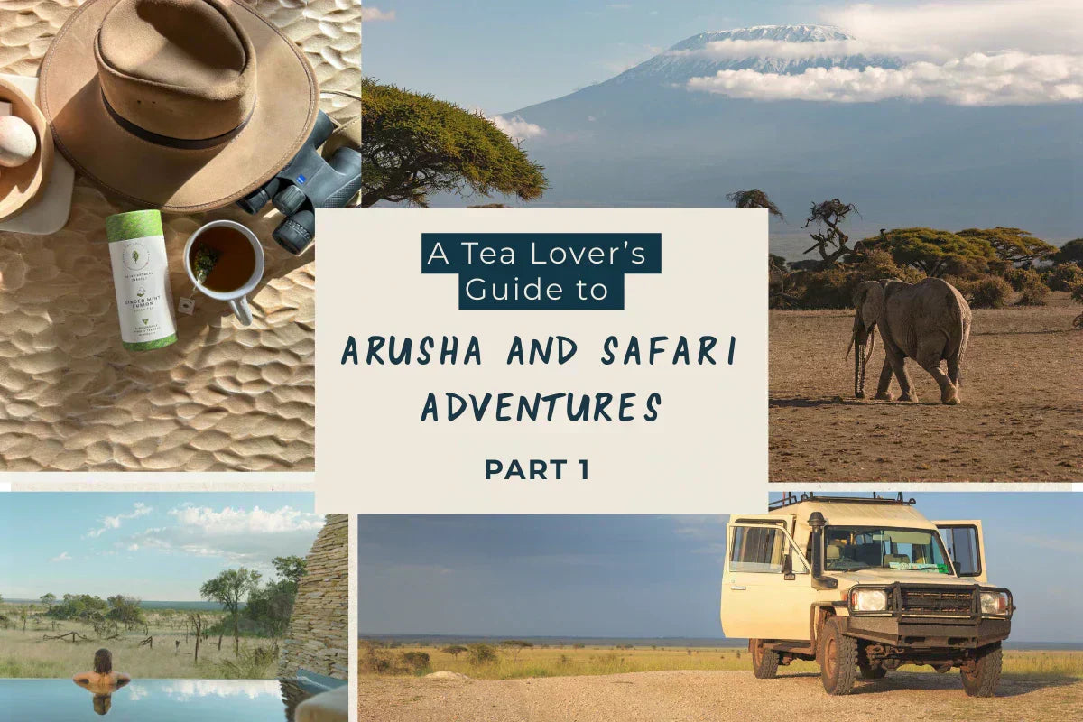 A tea lover's guide to Arusha and Safari Adventures. Part 1.