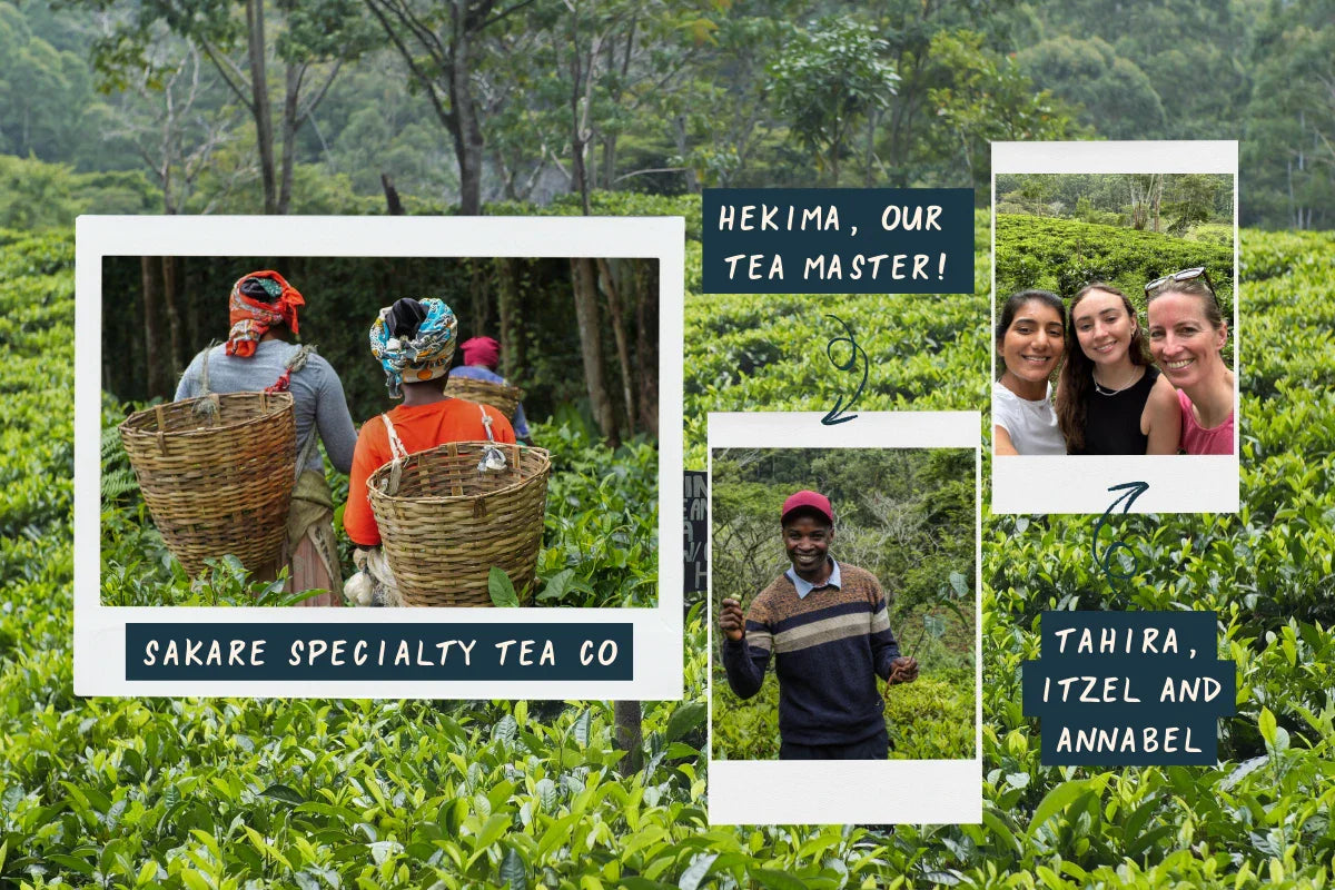 Collage of Agroecology, Ethical Tea, Regenerative Agriculture, Social Enterprise, and Sustainable Farming.