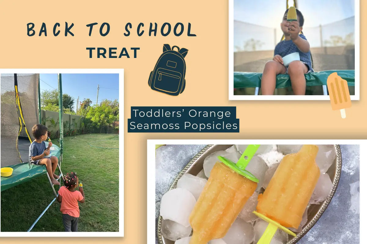 Toddlers' Orange Seamoss Popsicles 🍊