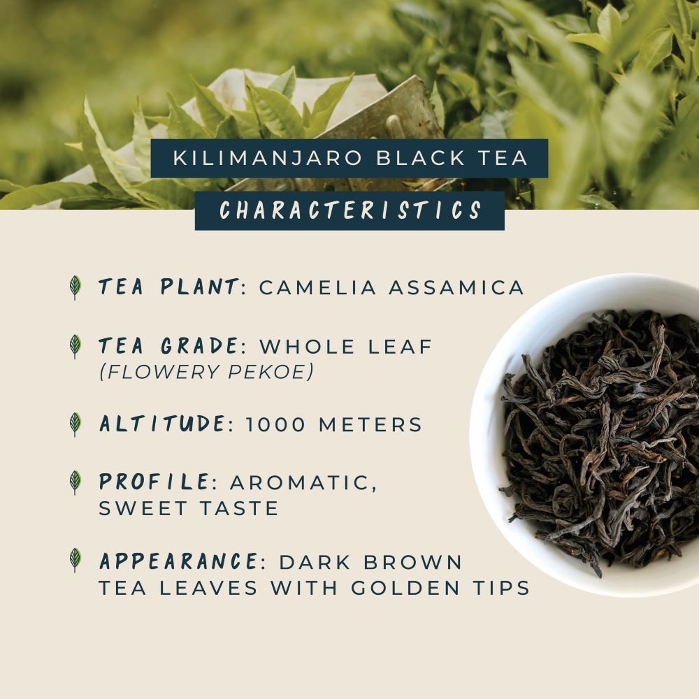 Kilimanjaro Black Tea - Kazi Yetu