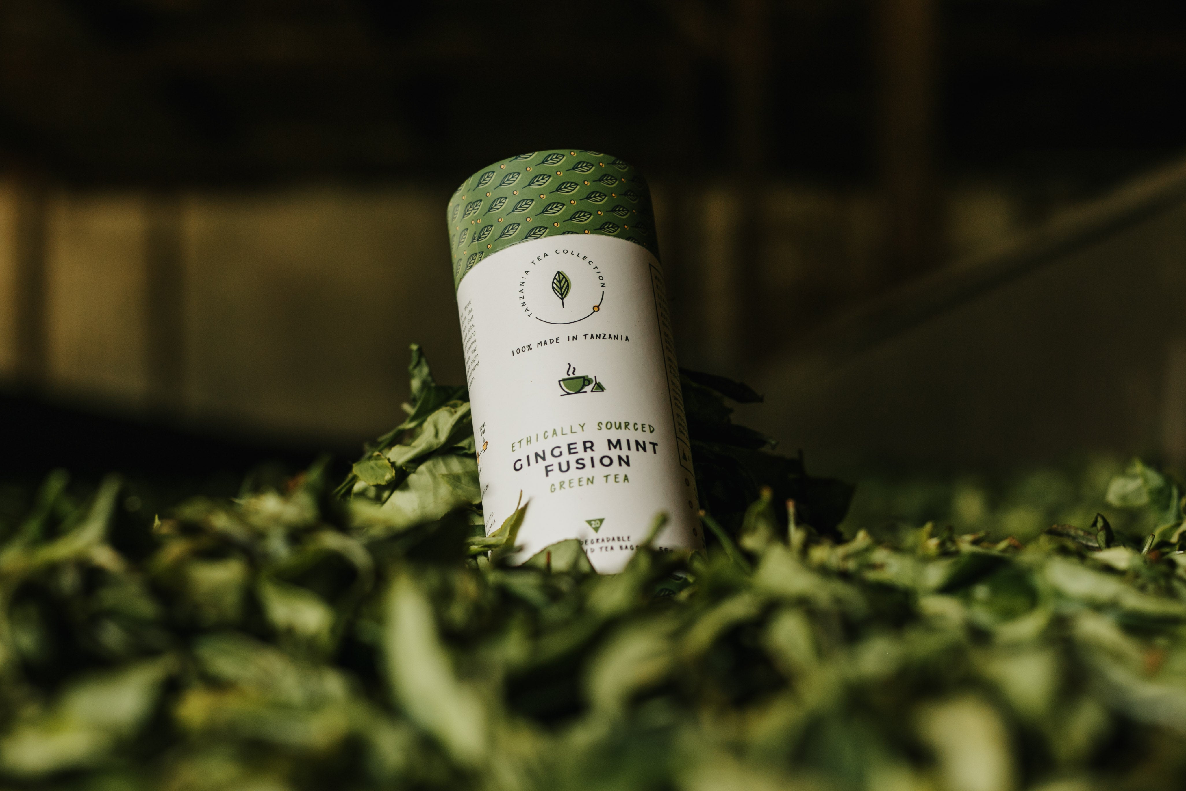 Ginger Mint Fusion tea tube in tea field