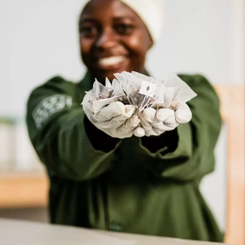 Kazi Yetu worker holding biodegradable tea bags in her hands